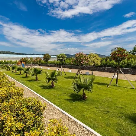 Dipladenia Garden Country * Mascali